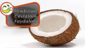 hindistan cevizi