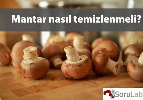 mantar-nasıl-temizlenmeli