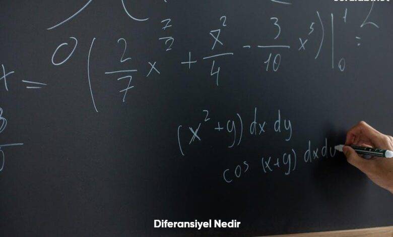 Diferansiyel Nedir6