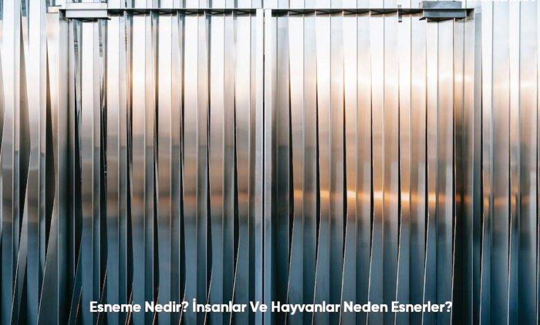 Esneme Nedir Insanlar Ve Hayvanlar Neden Esnerler6