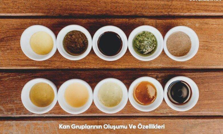 Kan Gruplarinin Olusumu Ve Ozellikleri6