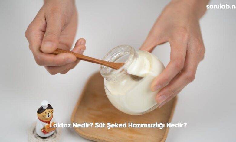 Laktoz Nedir Sut Sekeri Hazimsizligi Nedir6