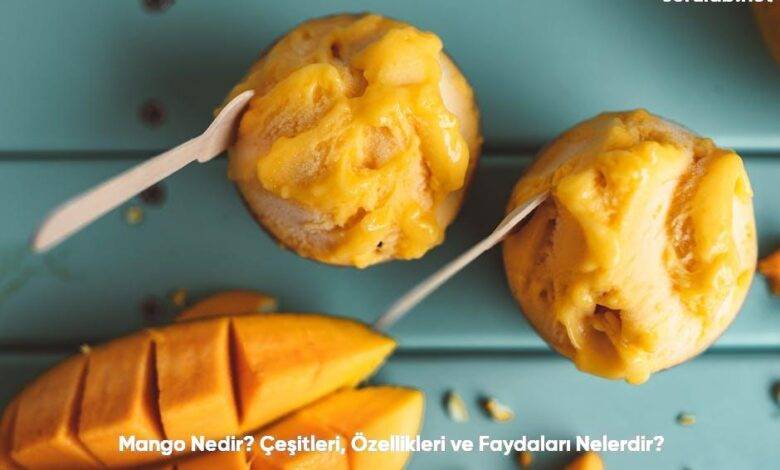 Mango Nedir Cesitleri Ozellikleri ve Faydalari Nelerdir6