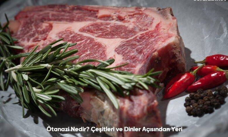 Otanazi Nedir Cesitleri ve Dinler Acisindan Yeri6