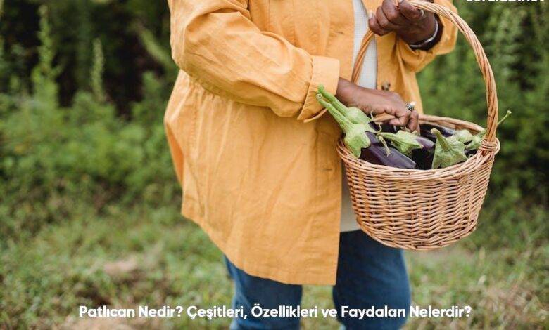 Patlican Nedir Cesitleri Ozellikleri ve Faydalari Nelerdir6