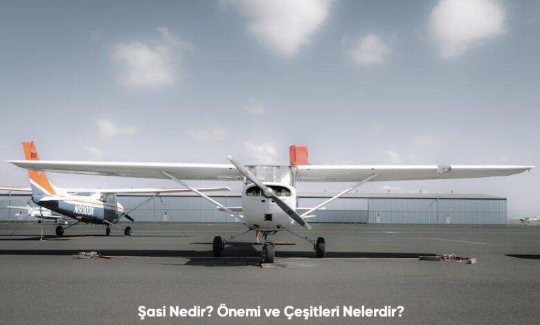 Sasi Nedir Onemi ve Cesitleri Nelerdir6