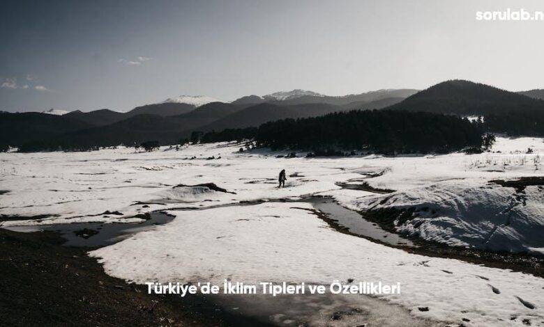 Turkiyede Iklim Tipleri ve Ozellikleri6