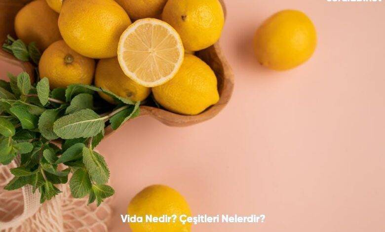 Vida Nedir Cesitleri Nelerdir6