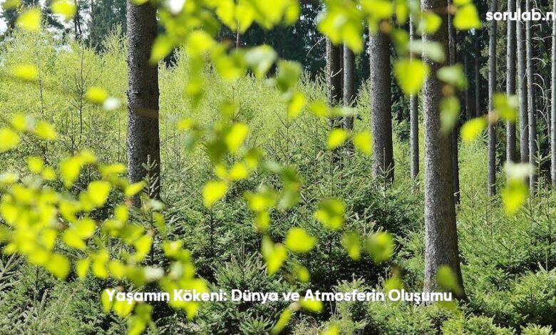 Yasamin Kokeni Dunya ve Atmosferin Olusumu6